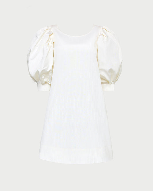 Willy Mini Dress